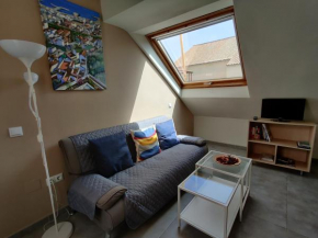 HIN17 estudio 3
